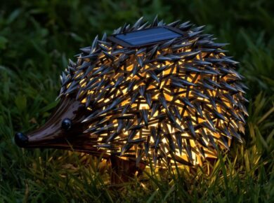 Solar-Igel im Gras bei Nacht