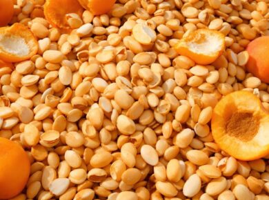 Aprikosenkerne und ganze Aprikosen