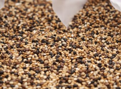 Vogelfutter in einer Tüte