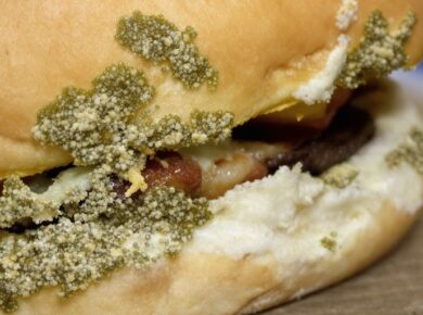 Burgerbrötchen mit Schimmelbefall
