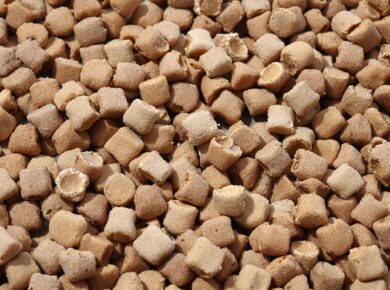 Hundefutter mit Qualitätsmängeln