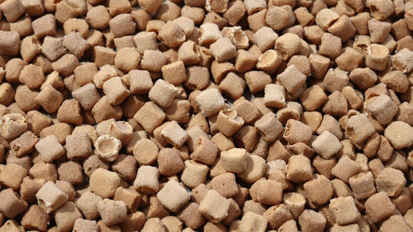 Hundefutter mit Qualitätsmängeln