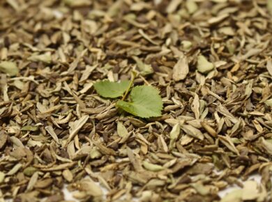 Getrocknete Yerba Mate Blätter, nahaufnahme